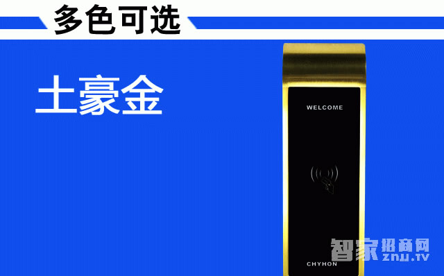 采虹智能锁 桑拿洗浴智能柜锁