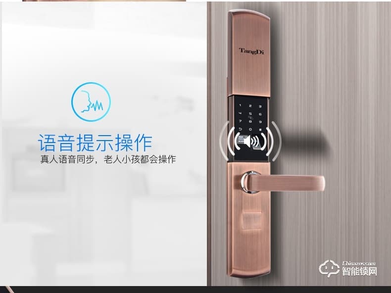 唐缔智能锁 HX02全自动静音滑盖智能锁
