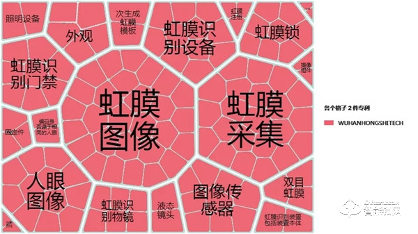 自主创新，锐意进取！虹识技术知识产权申请数量突破200件